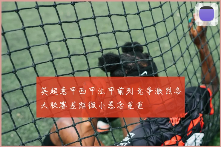 英超意甲西甲法甲前列竞争激烈各大联赛差距微小悬念重重