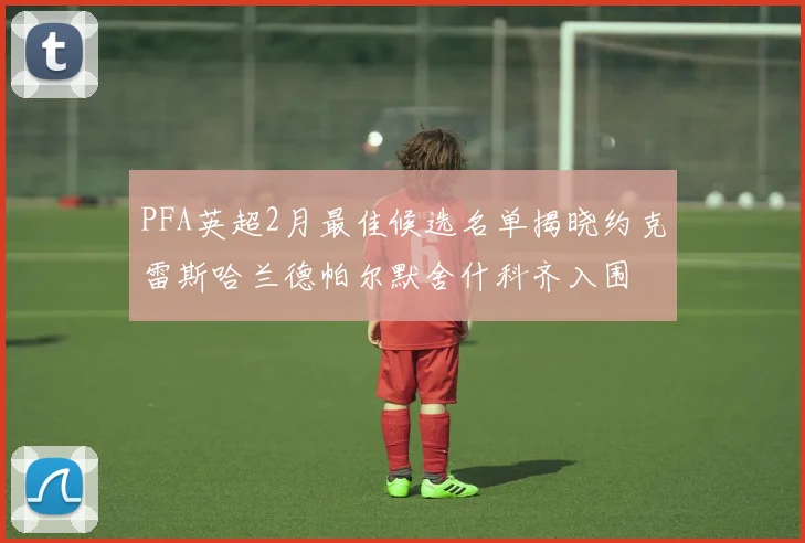 PFA英超2月最佳候选名单揭晓约克雷斯哈兰德帕尔默舍什科齐入围
